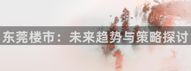 风暴娱乐有5指尖：东莞楼市：未来趋势与策略探讨