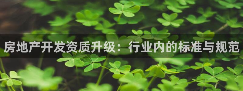 风暴娱乐主页：房地产开发资质升级：行业内的标准与规范
