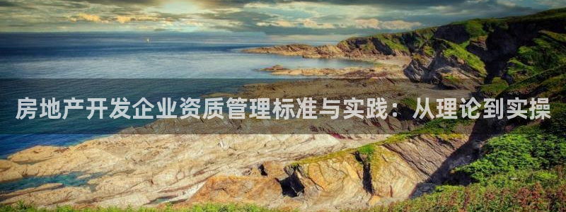 风暴娱乐1980：房地产开发企业资质管理标准与实践：从理论到