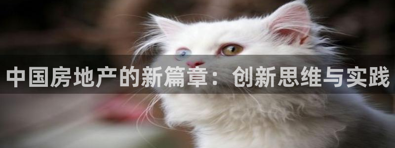 风暴娱乐上5指尖：中国房地产的新篇章：创新思维与实践