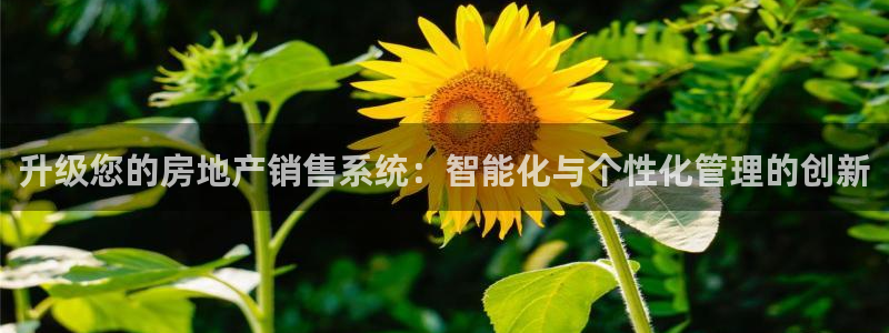 风暴娱乐号：升级您的房地产销售系统：智能化与个性化管理的创新
