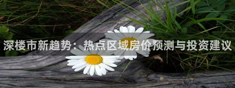风暴英雄娱乐：深楼市新趋势：热点区域房价预测与投资建议