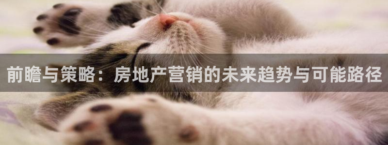风暴娱乐求333OOc：前瞻与策略：房地产营销的未来趋势与可