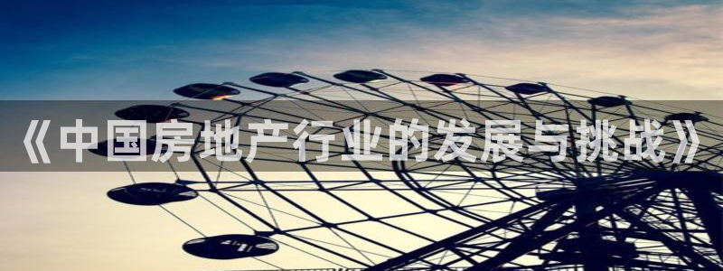 风暴娱乐老板：《中国房地产行业的发展与挑战》