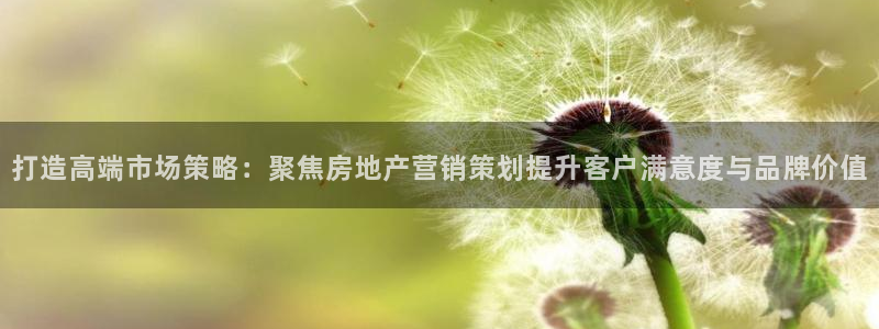 风暴娱乐上5指尖：打造高端市场策略：聚焦房地产营销策划提升客