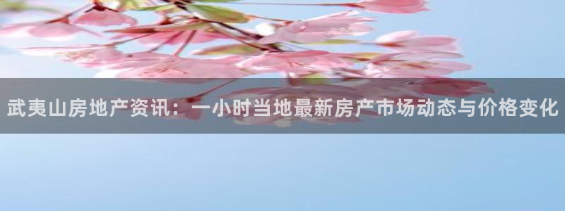 风暴娱乐拉菲8：武夷山房地产资讯：一小时当地最新房产市场动态