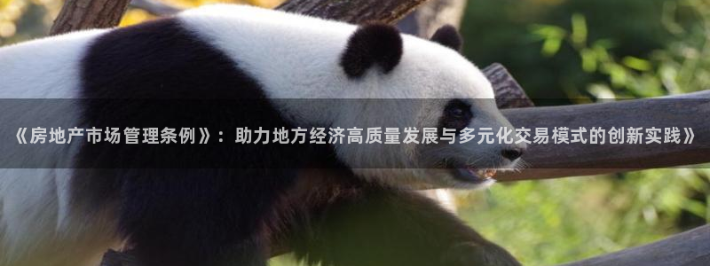 风暴娱乐眼：《房地产市场管理条例》：助力地方经济高质量发展与