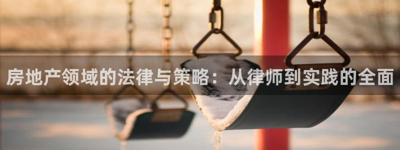 完美风暴 娱乐：房地产领域的法律与策略：从律师到实践的全面