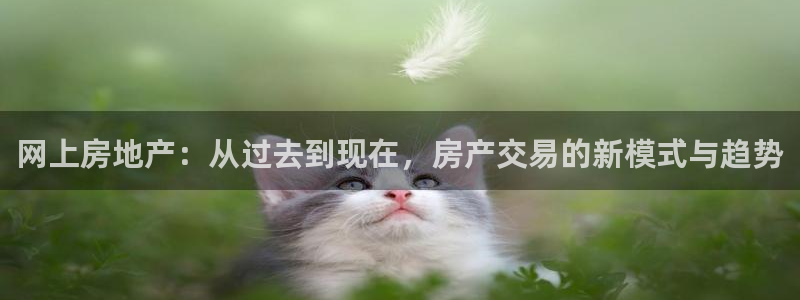风暴娱乐测速：网上房地产：从过去到现在，房产交易的新模式与趋