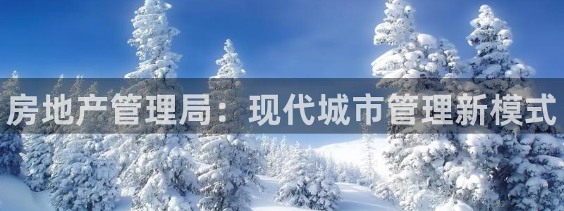 娱乐风暴系统：房地产管理局：现代城市管理新模式