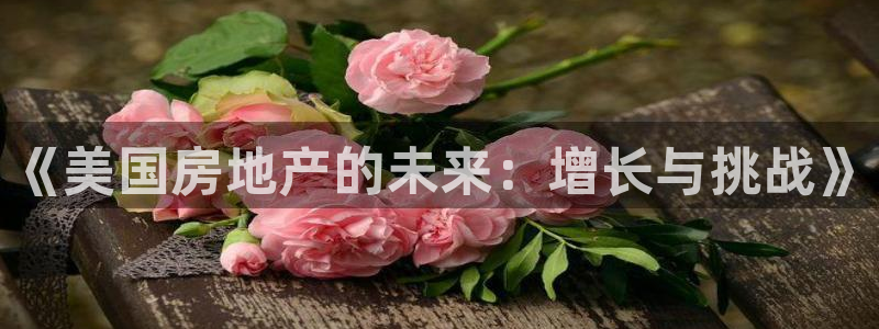 风暴娱乐40996：《美国房地产的未来：增长与挑战》