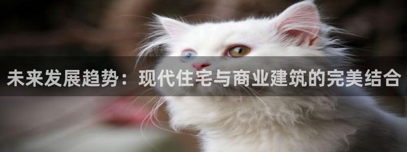娱乐风暴系统：未来发展趋势：现代住宅与商业建筑的完美结合