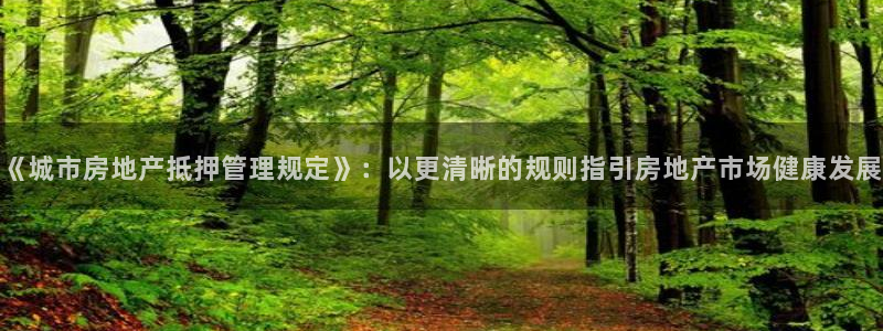 风暴娱乐5O6917：《城市房地产抵押管理规定》：以更清晰的