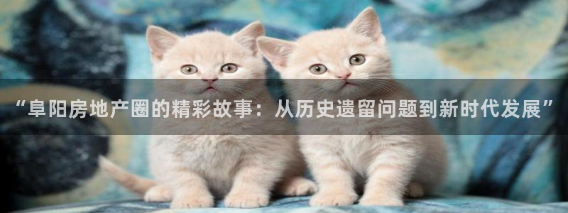 风暴娱乐344272：“阜阳房地产圈的精彩故事：从历史遗留问