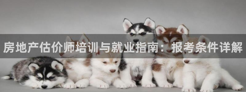 风暴平娱乐：房地产估价师培训与就业指南：报考条件详解