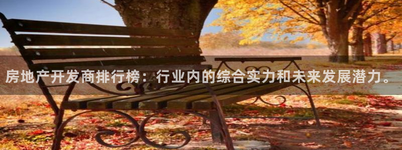风暴娱乐号：房地产开发商排行榜：行业内的综合实力和未来发展潜