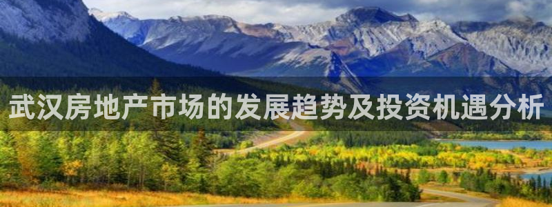 风暴娱乐40996：武汉房地产市场的发展趋势及投资机遇分析