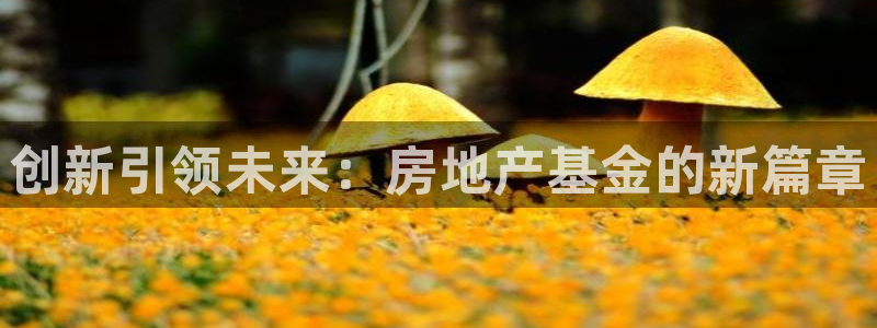 风暴娱乐网：创新引领未来：房地产基金的新篇章