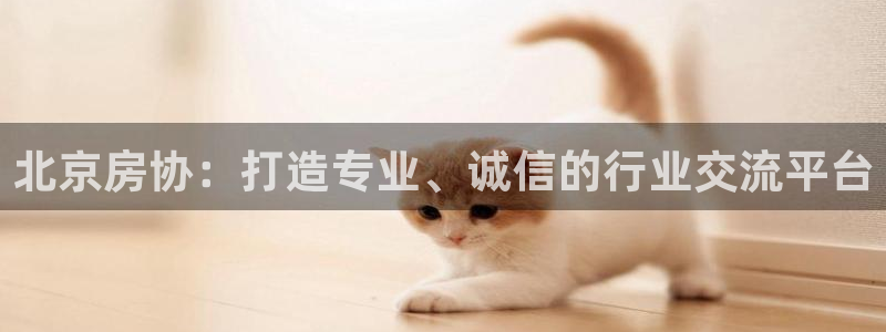 风暴娱乐 平台首页：北京房协：打造专业、诚信的行业交流平台