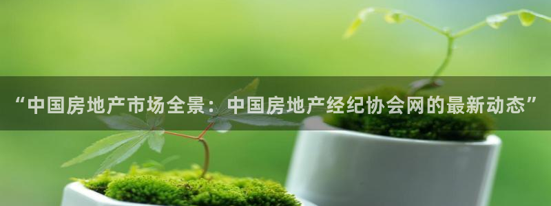 风暴娱乐图片：“中国房地产市场全景：中国房地产经纪协会网的最
