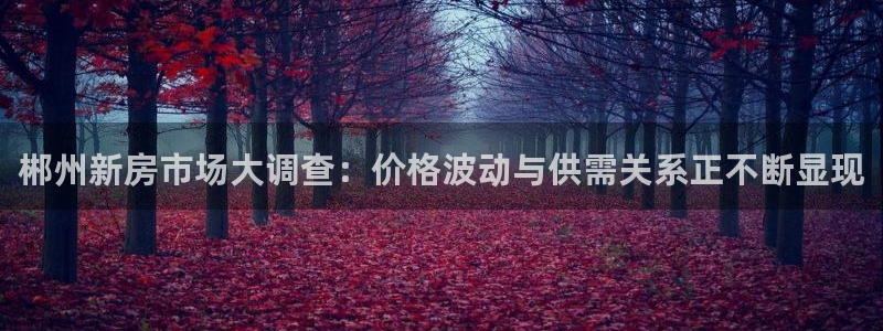 菲律宾风暴娱乐集团：郴州新房市场大调查：价格波动与供需关系正