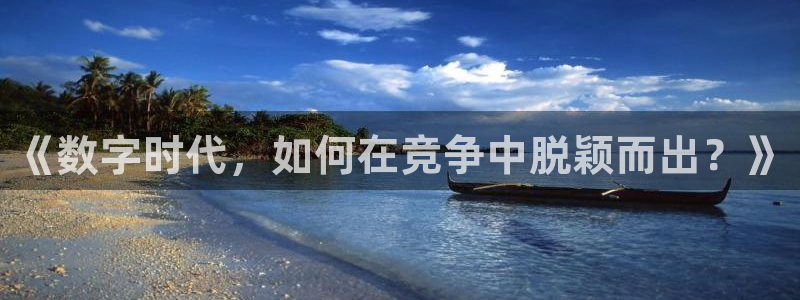 风暴娱乐40996：《数字时代，如何在竞争中脱颖而出？》