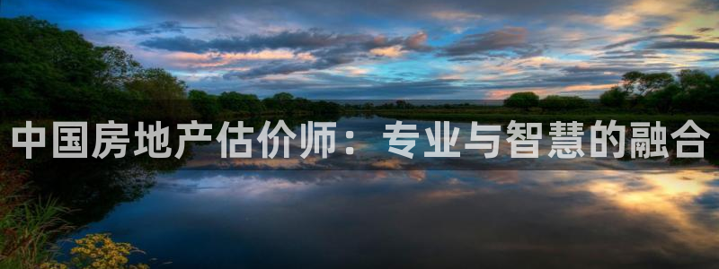 娱乐风暴港：中国房地产估价师：专业与智慧的融合