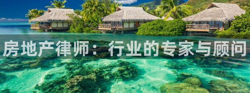 娱乐风暴开头：房地产律师：行业的专家与顾问