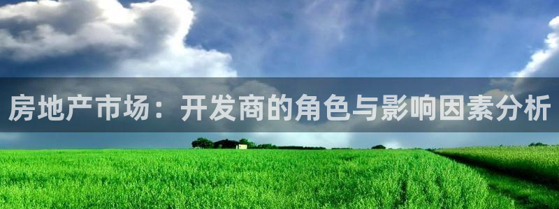 风暴娱乐园：房地产市场：开发商的角色与影响因素分析