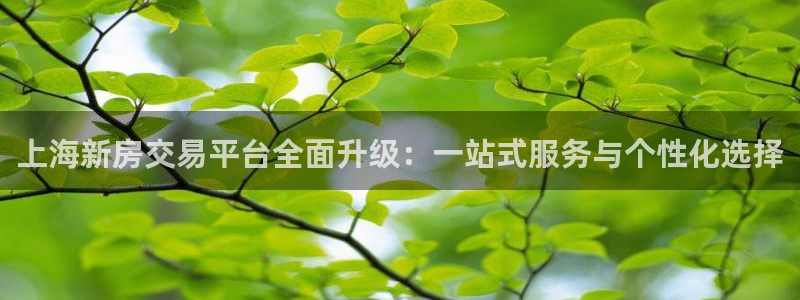 娱乐风暴港：上海新房交易平台全面升级：一站式服务与个性化选择