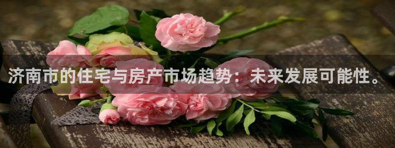 风暴娱乐 北京：济南市的住宅与房产市场趋势：未来发展可能性。