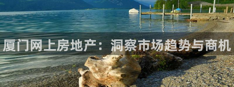 风暴娱乐部：厦门网上房地产：洞察市场趋势与商机