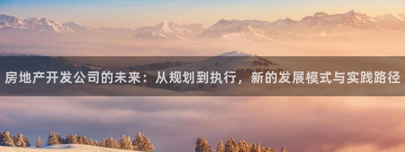 风暴娱乐套路：房地产开发公司的未来：从规划到执行，新的发展模