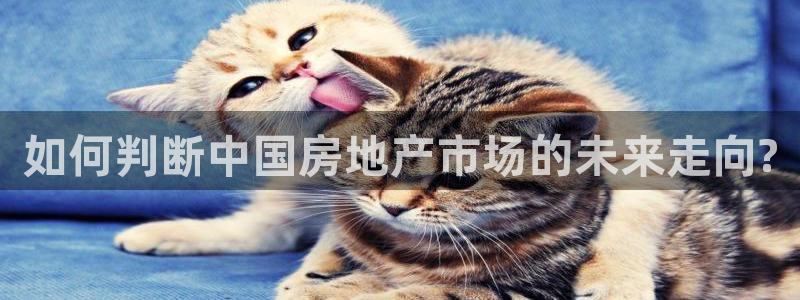 风暴娱乐主管是谁：如何判断中国房地产市场的未来走向?