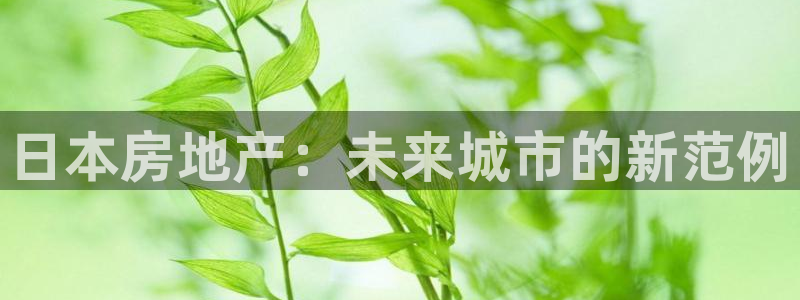 风暴官方娱乐：日本房地产：未来城市的新范例