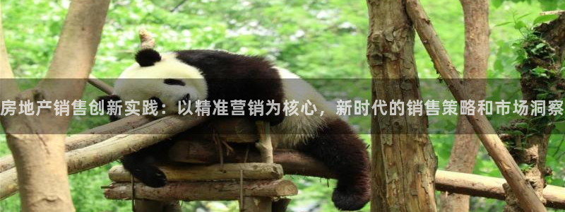 风暴娱乐40996：房地产销售创新实践：以精准营销为核心，新