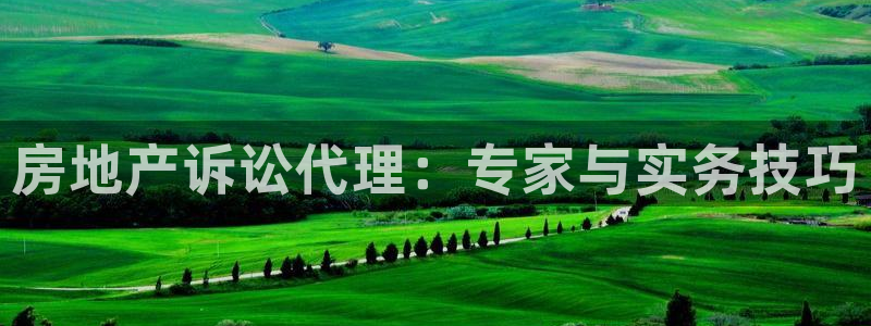 风暴娱乐有5指尖：房地产诉讼代理：专家与实务技巧