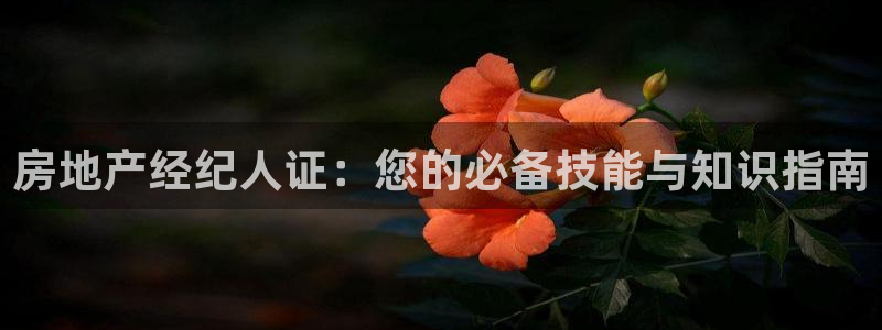 风暴娱乐园：房地产经纪人证：您的必备技能与知识指南