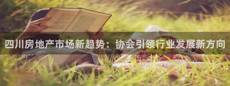 风暴娱乐自动挂：四川房地产市场新趋势：协会引领行业发展新方向