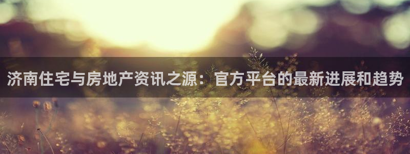 风暴娱乐 北京：济南住宅与房地产资讯之源：官方平台的最新进展