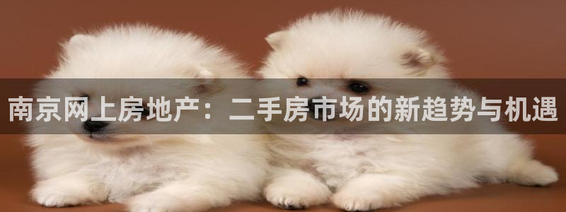 注册风暴娱乐：南京网上房地产：二手房市场的新趋势与机遇
