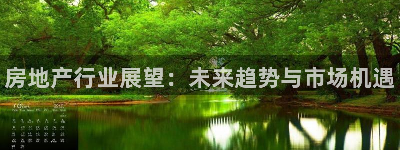 风暴娱乐求333OOc：房地产行业展望：未来趋势与市场机遇