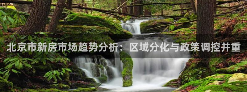 风暴娱乐5O6917：北京市新房市场趋势分析：区域分化与政策