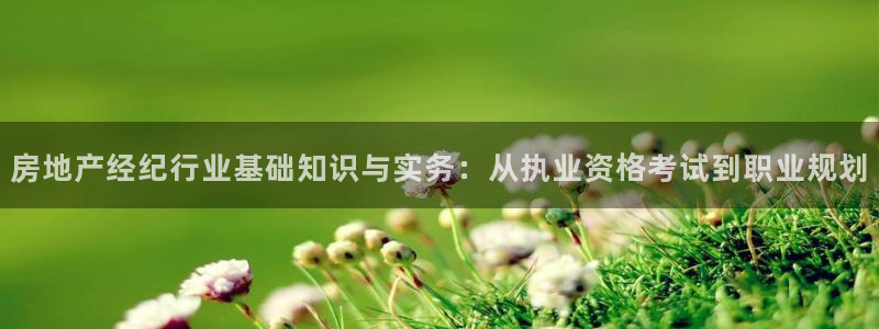 风暴娱乐登录网址：房地产经纪行业基础知识与实务：从执业资格考