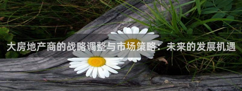 娱乐风暴App：大房地产商的战略调整与市场策略：未来的发展机
