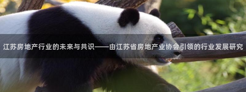 风暴娱乐右5指尖：江苏房地产行业的未来与共识——由江苏省房地