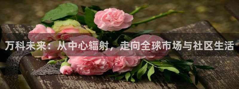完美风暴 娱乐：万科未来：从中心辐射，走向全球市场与社区生活