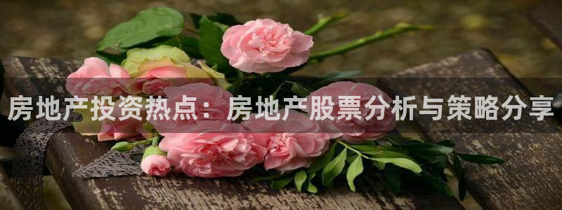 风暴娱乐套路：房地产投资热点：房地产股票分析与策略分享