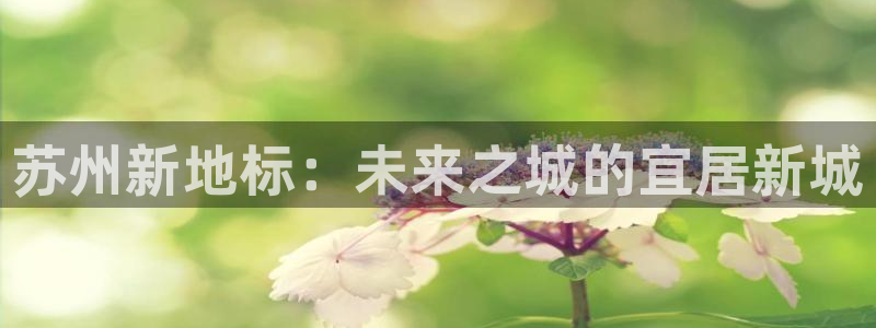 风暴娱乐下5指尖：苏州新地标：未来之城的宜居新城