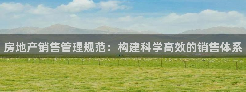 4120051风暴娱乐：房地产销售管理规范：构建科学高效的销